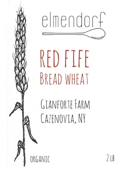 Heirloom Red Fife Wheat Flour & Grain - Elmendorf Baking Supplies